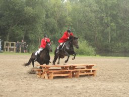 IMG_1490_web